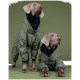 Zwei Hunde in passenden grünen Tarnregenmänteln, die vor einem einfarbigen grünen Hintergrund stehen.