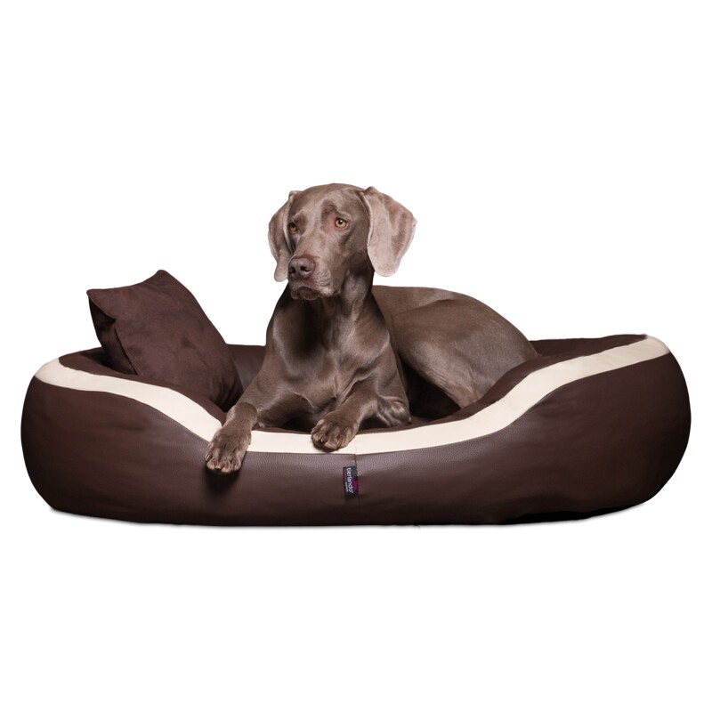 Tierlando ® PEPPER Orthopädisches Hundebett Hundesofa L XL XXL Kunstleder braun 1,6 m, 30 cm, 1,3 m