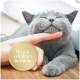 Entspannte graue Katze, die vom Menschen mit dem Finger am Kinn gestreichelt wird; goldenes Siegel mit der Aufschrift 'Wissenschaftlich bestätigt'.
