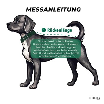 Illustration eines Hundes mit Halsband, die Messanweisungen für die Rückenlänge auf Deutsch zeigt und die richtige Messmethode betont.