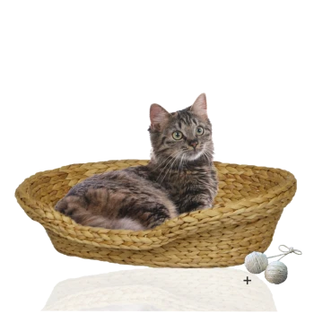 Eine getigerte Katze sitzt bequem in einem geflochtenen Strohhäuschen, mit zwei strukturierten Spielbällen neben sich.
