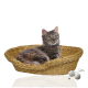 Eine getigerte Katze sitzt bequem in einem geflochtenen Strohhäuschen, mit zwei strukturierten Spielbällen neben sich.