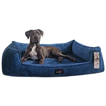 Tierlando ® Orthopädisches Hundebett FRANKLIN Kuscheliger Teddy-Stoff – Hundesofa blau 1,6 m, 25 cm, 1,1 m