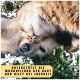 Eine Katze und ein Hund kuscheln auf grünem Gras, mit dem Text 'UNTERSTÜTZT DIE WUNDHEILUNG DER HAUT UND HILFT BEI JUCKREIZ' am unteren Rand.