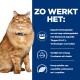 Een fluffy oranje kat zit naast tekst die de voordelen van kattenvoer benadrukt: verbeterde eetlust, omega-3's, aminozuren en L-carnitine.