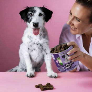 Ein schwarz-weißer Hund sitzt auf einer rosa Oberfläche und schaut auf einen Behälter mit der Aufschrift "Chillout Drops", der von einer Person gehalten wird. Braune Leckerlis sind in der Nähe verstreut.
