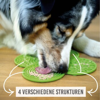 Silikon-Haustierpflege-Matten in Grau und Grün mit verschiedenen strukturierten Mustern, neben einem schwarzen Pflegewerkzeug, mit einem TÜV Süd-Zertifizierungsabzeichen.