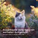Eine dreifarbige Katze mit geschlossenen Augen sitzt in sonnenbeschienenen Blumen, mit dem Text: "Ausgewogene Versorgung mit wertvollen Aminosäuren."