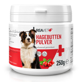 Behälter mit REAVET Hagebutten Pulver (Hagebuttenpulver) für Hunde, 250g, mit einem Hund auf dem Etikett und Text, der angibt, dass es schonend getrocknet ist.