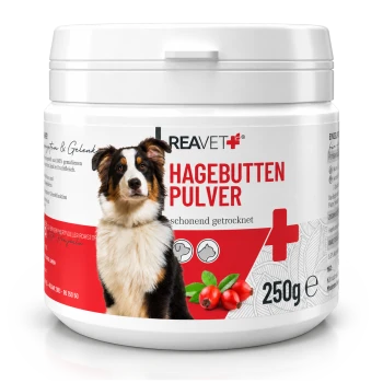 Behälter mit REAVET Hagebutten Pulver (Hagebuttenpulver) für Hunde, 250g, mit einem Hund auf dem Etikett und Text, der angibt, dass es schonend getrocknet ist.