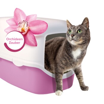 Beaphar Multi-Frisch pour les toilettes pour chats 400 g Orchidée