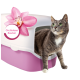 Eine graue Katze mit grünen Augen kommt aus einer rosa Katzentoilette, die mit einer rosa Orchideenblüte geschmückt ist, beschriftet mit 'Orchideen Zauber.'