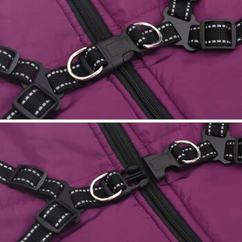 Nahaufnahme eines lila Haustiergeschirrs mit verstellbaren Riemen, schwarzen Schnallen und Metall-D-Ringen zur Leinenbefestigung.