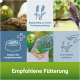 Bild zeigt verschiedene Wellensittiche und einen Nymphensittich beim Fressen. Der Text enthält "Empfohlene Fütterung" und Tipps zu Fütterungspraktiken.
