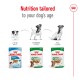 Royal Canin dog food packaging shows Puppy, Mini Adult, and Mini Aging formulas with text: "Nutrition tailored to your dog's age."