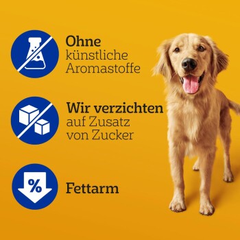 Ein Golden Retriever posiert vor einem hellgelben Hintergrund mit dem Text: "Keine künstlichen Aromen", "Kein Zuckerzusatz" und "Fettarm."
