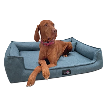 Brauner Hund mit rosa Halsband liegt auf einem blauen Tierlando Haustierbett mit erhöhten Seiten und einem Kissen.
