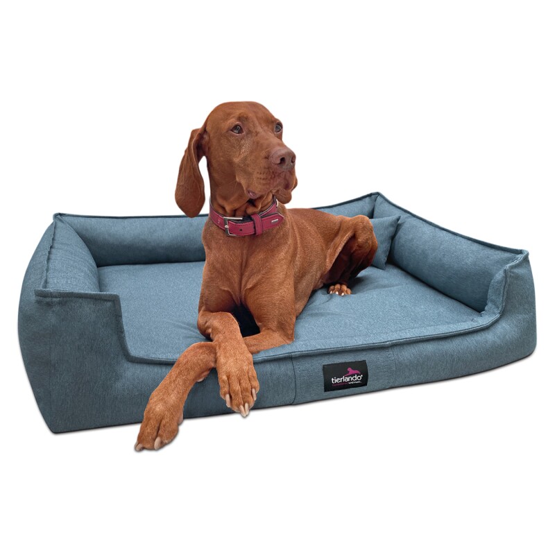 Tierlando ® Orthopädisches Hundebett GUSTAV SCANDI CHIC Große Hunde XL Hundesofa