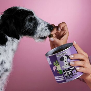 Eine Hand bietet einem schwarz-weißen Hund einen Leckerbissen aus einem lila Behälter mit der Aufschrift "CHILLOUT DROPS" auf einem rosa Hintergrund an.