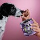 Eine Hand bietet einem schwarz-weißen Hund einen Leckerbissen aus einem lila Behälter mit der Aufschrift "CHILLOUT DROPS" auf einem rosa Hintergrund an.