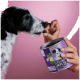 Eine Hand bietet einem schwarz-weißen Hund einen Leckerbissen aus einem lila Behälter mit der Aufschrift "CHILLOUT DROPS" auf einem rosa Hintergrund an.