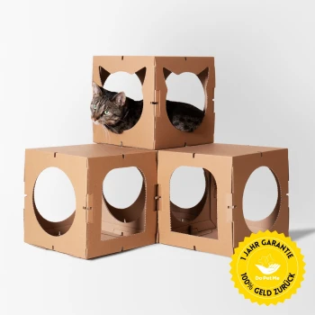 Katzenhaus The Kitten Castle