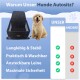 Hunde Autositz – Sicher & Bequem