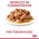 Nasses Haustierfutter auf einem weißen Teller, mit zarten Stücken in Sauce, mit dem Text "UNTERSTÜTZT DIE FLÜSSIGKEITSZUFUHR" und "FEINE STÜCKCHEN IN SOSSE."