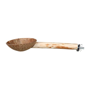 Sitzstange mit Futternapf Futterschaufel aus Kokosnussschale mit einem Holzgriff, entworfen für die Fütterung von Haustieren.
