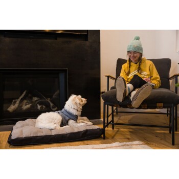 Ein kleiner weißer Hund, der einen blauen Pullover trägt, liegt auf einem gemütlichen Haustierbett vor einem Kamin, während eine Person in einem gelben Pullover in einem Stuhl sitzt und schreibt.