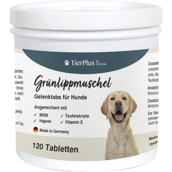 Grünlippmuschel Gelenktabs für Hunde, 120 Tabletten, angereichert mit MSM, Ingwer, Teufelskralle, Vitamin E, Hergestellt in Deutschland.