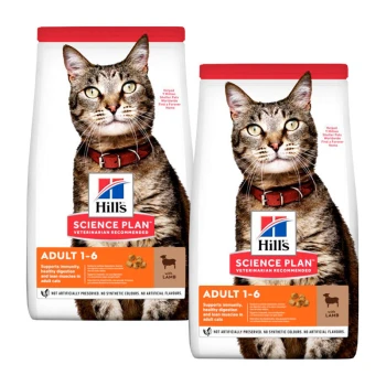Deux sacs de nourriture pour chats Hill's Science Plan pour adultes âgés de 1 à 6 ans, avec un chat tigré sur le devant, avec un texte mettant en avant les bienfaits nutritionnels.