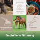 Pferde in einem Stall mit Fütterungshinweisen (160-320g), einer Futterschüssel und einer Stute mit Fohlen. Text: "Empfohlene Fütterung."