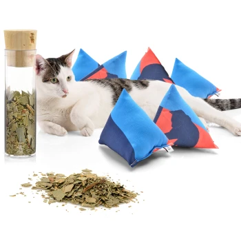 Eine entspannte grau-weiße Katze liegt neben bunten Katzenminze gefüllten Kissen und einem Glasbehälter mit getrockneten Katzenminzblättern.