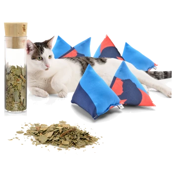 Eine entspannte grau-weiße Katze liegt neben bunten Katzenminze gefüllten Kissen und einem Glasbehälter mit getrockneten Katzenminzblättern.