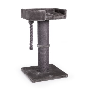 Graue Katze auf einem Baum mit einem plüschigen oberen Platz, einem mit Sisal umwickelten Kratzbaum und einem hängenden Seilspielzeug.