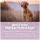 Eine Sprühflasche mit der Aufschrift "ALPHAZOO Force - BYE BYE VLOH" mit einer Illustration von Hund und Katze, die ihre haustierfreundlichen Inhaltsstoffe und Wirkungen betont.