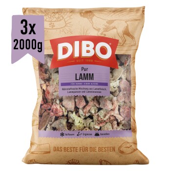 DIBO Lamm-Hundefutterverpackung, 2000g, mit einem bunten Design und Text in Deutsch und Englisch, der anzeigt, dass es für empfindliche Hunde geeignet ist.