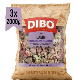 DIBO Lamm-Hundefutterverpackung, 2000g, mit einem bunten Design und Text in Deutsch und Englisch, der anzeigt, dass es für empfindliche Hunde geeignet ist.