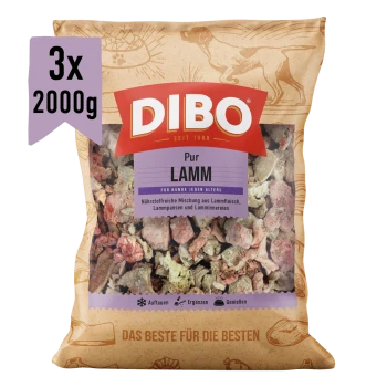 DIBO Lamm-Hundefutterverpackung, 2000g, mit einem bunten Design und Text in Deutsch und Englisch, der anzeigt, dass es für empfindliche Hunde geeignet ist.