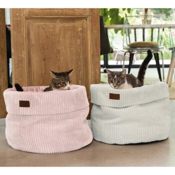 Deux chats assis dans des lits pour animaux de compagnie confortables et côtelés ; l'un est rose et l'autre est bleu clair, dans un espace intérieur moderne.