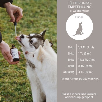 Flasche mit biologischem Schwarzkümmelöl, mit Text, der es als 100% natürlich, vegan, reich an Vitaminen und Mineralien, kaltgepresst und bio-zertifiziert hervorhebt.