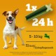 Hundezahnsnack, empfohlen 1 pro Tag für Hunde von 5-10 kg, enthält 51 kcal. Grüner, stickförmiger Leckerbissen auf orangefarbenem Hintergrund.