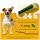 Hundezahnsnack, empfohlen 1 pro Tag für Hunde von 5-10 kg, enthält 51 kcal. Grüner, stickförmiger Leckerbissen auf orangefarbenem Hintergrund.
