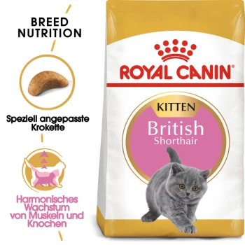 Eine Tüte Royal Canin British Shorthair Kittenfutter mit einem verspielten grauen Kätzchen, mit Text, der die Ernährungsbedürfnisse der Rasse und die Unterstützung des Muskelwachstums hervorhebt.