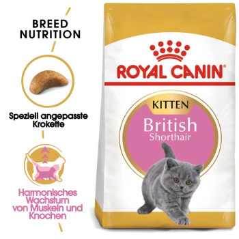 Eine Tüte Royal Canin British Shorthair Kittenfutter mit einem verspielten grauen Kätzchen, mit Text, der die Ernährungsbedürfnisse der Rasse und die Unterstützung des Muskelwachstums hervorhebt.