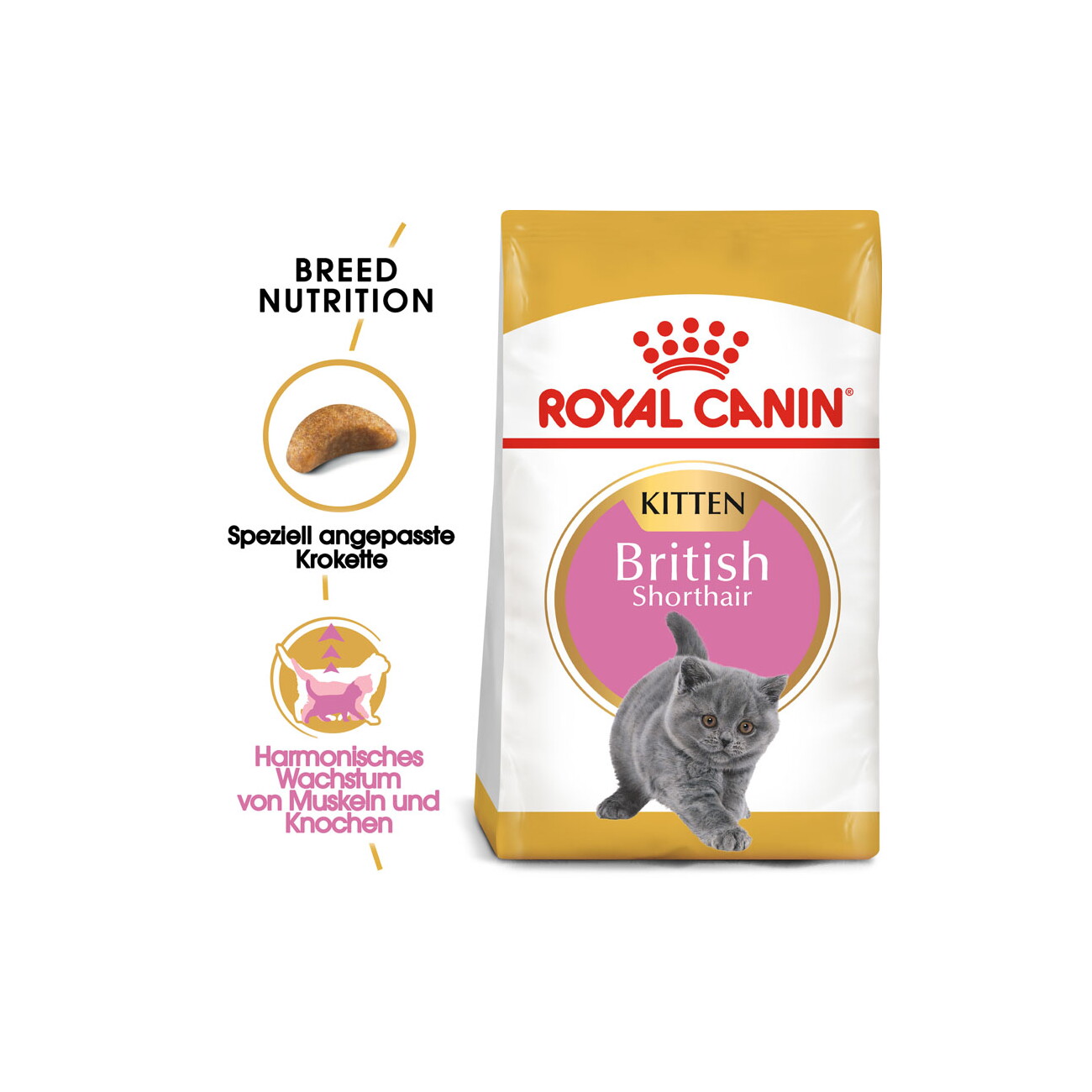ROYAL CANIN British Shorthair Kitten 10 kg