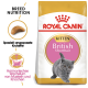 Eine Tüte Royal Canin British Shorthair Kittenfutter mit einem verspielten grauen Kätzchen, mit Text, der die Ernährungsbedürfnisse der Rasse und die Unterstützung des Muskelwachstums hervorhebt.