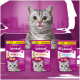 Graue getigerte Katze leckt sich die Lippen hinter Whiskas-Beuteln (Vitamin E, Anti-Hairball, Dentabites) vor rosa Hintergrund