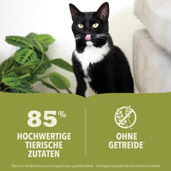 Eine schwarz-weiße Katze leckt sich die Lippen, steht neben einer grünen Pflanze. Der Text lautet '85% HOCHWERTIGE TIERISCHE ZUTATEN' und 'OHNE GETREIDE'.